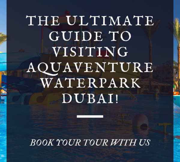 The ultimate guide to visiting Aquaventure Waterpark Dubai!